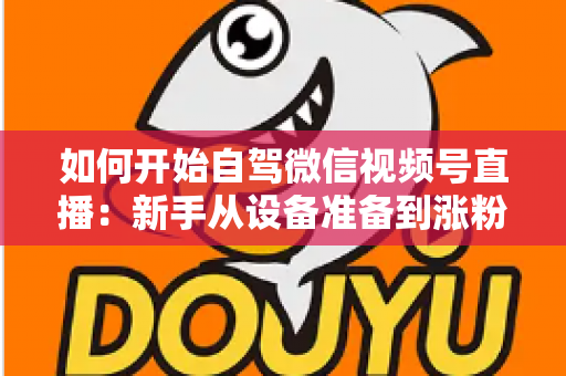 如何开始自驾微信视频号直播:新手从设备准备到涨粉变现的完整实战指南 如何开始自驾微信视频号直播:新手从设备准备到涨粉变现的完整实战指南