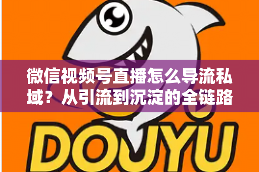 微信视频号直播怎么导流私域?从引流到沉淀的全链路实战指南 微信视频号直播怎么导流私域?从引流到沉淀的全链路实战指南