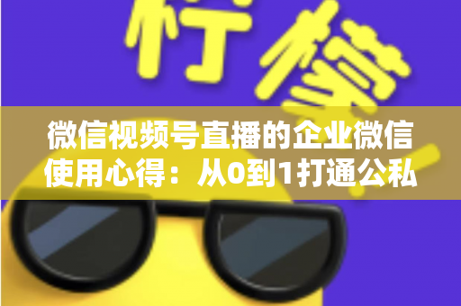 微信视频号直播的企业微信使用心得:从0到1打通公私域流量的全流程实战指南 微信视频号直播的企业微信使用心得:从0到1打通公私域流量的全流程实战指南