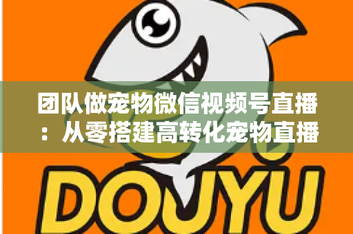 团队做宠物微信视频号直播:从零搭建高转化宠物直播间的完整实战指南 团队做宠物微信视频号直播:从零搭建高转化宠物直播间的完整实战指南