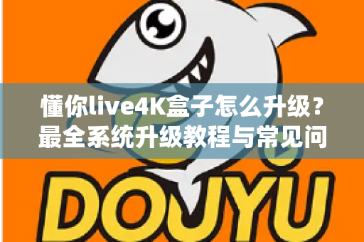 懂你live4K盒子怎么升级？最全系统升级教程与常见问题解答